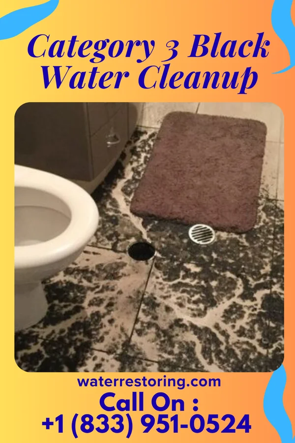 Category 3 Black Water Cleanup in Kahaluu-Keauhou, HI