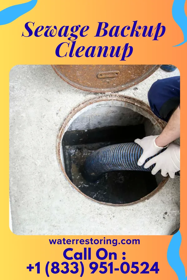 Sewage Backup Cleanup in Kahaluu-Keauhou, HI