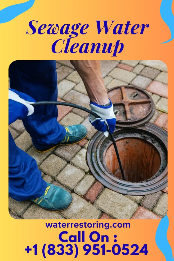 Sewage Water Cleanup in Kahaluu-Keauhou, HI