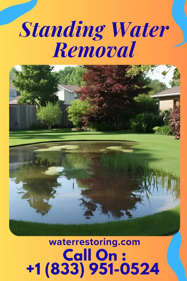 Standing Water Removal in Kahaluu-Keauhou, HI